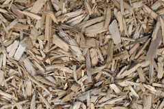 biomass boilers Llandrinio