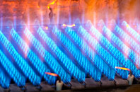 Llandrinio gas fired boilers